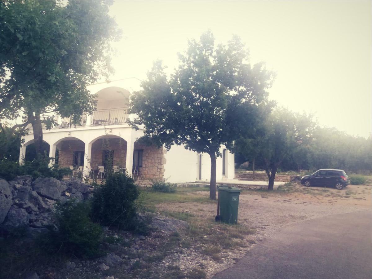 Lucija